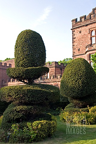 TOPIARY_AT_NEW_HALL_HOTEL__WALMLEY__WEST_MIDLANDS