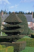 TOPIARY AT FELLEY PRIORY,  NOTTINGHAM