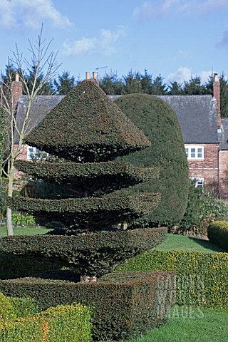 TOPIARY_AT_FELLEY_PRIORY__NOTTINGHAM