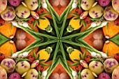 VEGETABLES IN KALEIDOSCOPIC PATTERN