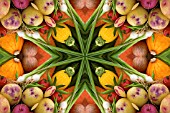 VEGETABLES IN KALEIDOSCOPIC PATTERN