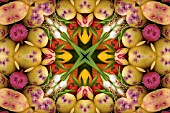 VEGETABLES IN KALEIDOSCOPIC PATTERN