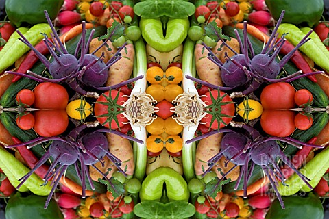 VEGETABLES_IN_KALEIDOSCOPIC_PATTERN