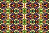 VEGETABLES IN KALEIDOSCOPIC PATTERN