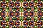 VEGETABLES IN KALEIDOSCOPIC PATTERN