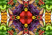 VEGETABLES IN KALEIDOSCOPIC PATTERN