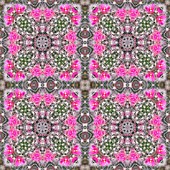 MAMMILLARIA LAUI V. DASYCANTHA,  CACTUS IN KALEIDOSCOPIC PATTERN