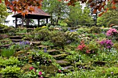 BOG GARDEN AT WINTERBOURNE BOTANIC GARDEN, UNIVERSITY OF BIRMINGHAM,