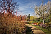 THE WINTER GARDEN AT CAMBRIDGE BOTANICAL GARDEN, FEBRUARY