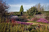 THE WINTER GARDEN AT CAMBRIDGE BOTANICAL GARDEN, FEBRUARY