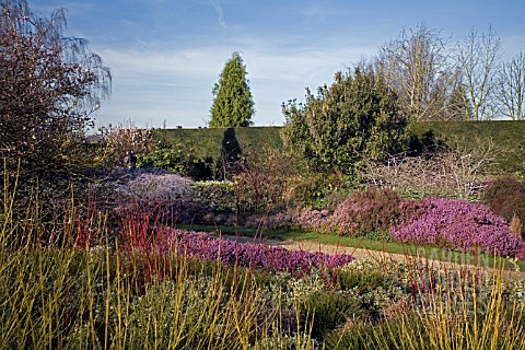 THE_WINTER_GARDEN_AT_CAMBRIDGE_BOTANICAL_GARDEN_FEBRUARY