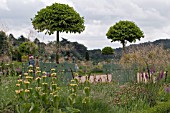 VERSAILLES TUBS AT TRENTHAM GARDENS