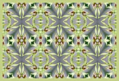 ENCYCLIA COCHLEATA, COCKLE ORCHID IN KALEIDOSCOPIC AND REPEATED PATTERN