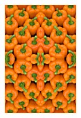 ORANGE PEPPERS IN KALEIDOSCOPIC PATTERN