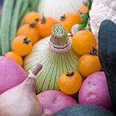 BASKET OF SALAD VEGETABLES