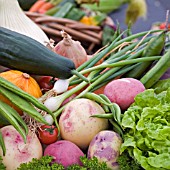 BASKET OF SALAD VEGETABLES