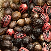 MACE COVERED NUTMEGS MANIPULATED