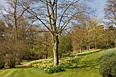 HODNET HALL, SHROPSHIRE, APRIL