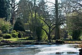 BETH CHATTOS GARDEN WITH FROZEN LAKE