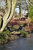 BETH CHATTOS GARDEN WITH FROZEN LAKE