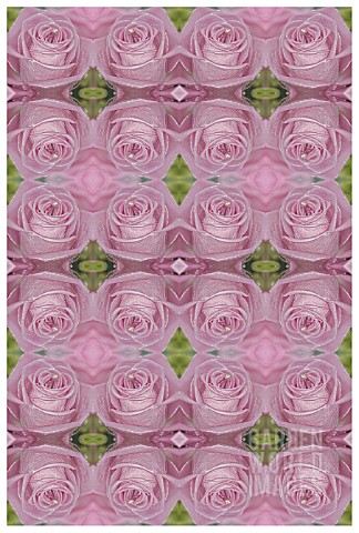 MANIPULATED_ROSE_IN_KALEIDOSCOPIC_REPEATED_PATTERN