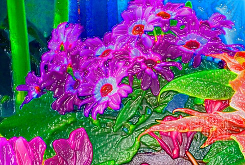 MIXED_HOTHOUSE_FLOWERS_MANIPULATED