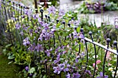 DETAIL OF CONTEMPORARY RAILINGS AND CLEMATIS