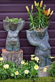 NAKED LADIES PLANTERS