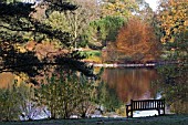 VIEW ACROSS THE LAKE AT KEW GARDENS, DECEMBER