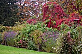 ARLEY ARBORETUM, OCTOBER