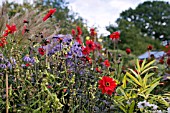 LATE SUMMER BORDER