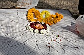 DAISY TEMPLATE, MADEIRA FLOWER FESTIVAL 2008