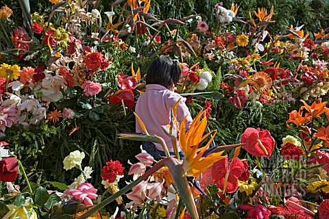 CHILD_LAYING_FLOWERS_AT_WALL_OF_HOPE_FESTA_DES_FLORES_MADEIRA_FLOWER_FESTIVAL_2008