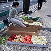 PREPARING FLOWERS TO DECORATE THE STREETS OF FUNCHAL FOR THE FESTA DES FLORES 2008, MADEIRA