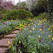 DOROTHY CLIVE GARDEN, WILLOUGHBRIDGE, SHROPSHIRE, MAY