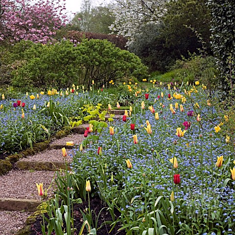 DOROTHY_CLIVE_GARDEN_WILLOUGHBRIDGE_SHROPSHIRE_MAY