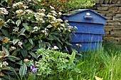 BLUE BEEHIVE COMPOST MAKER IN OVERGROWN GARDEN, MAY