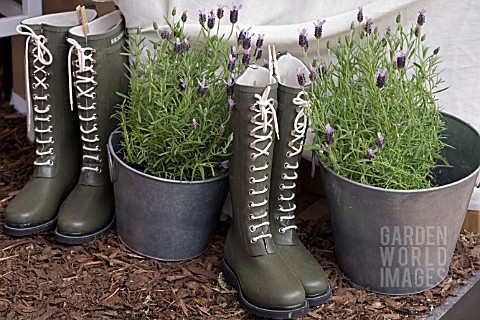 WELLIE_BOOTS_AND_LAVENDER