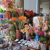 MADEIRA FLOWER MARKET