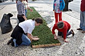 PREPARING THE FLOWERS TO LINE THE STREETS FOR THE FESTA DES FLORES, FUNCHAL, MADEIRA