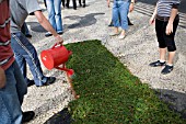 PREPARING THE FLOWERS TO LINE THE STREETS FOR THE FESTA DES FLORES, FUNCHAL, MADEIRA