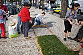 PREPARING THE FLOWERS TO LINE THE STREETS FOR THE FESTA DES FLORES, FUNCHAL, MADEIRA