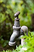 GARDEN TAP