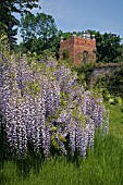 STONE HOUSE COTTAGE GARDEN, KIDDERMINSTER, MAY