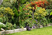 ORCHID GARDEN,  PORTA DE LA CRUZ,  TENERIFE