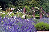 ROSE GARDEN AT WINTERBOURNE BOTANICAL GARDEN, UNIVERSITY OF BIRMINGHAM