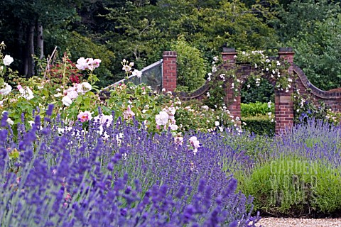 ROSE_GARDEN_AT_WINTERBOURNE_BOTANICAL_GARDEN_UNIVERSITY_OF_BIRMINGHAM