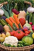 BASKET OF SALAD VEGETABLES