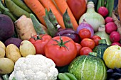 BASKET OF SALAD VEGETABLES