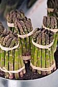 ASPARAGUS SPEARS